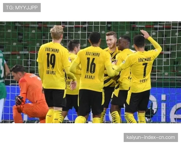 德甲第17轮多场比赛结束 联赛格局进一步明朗化